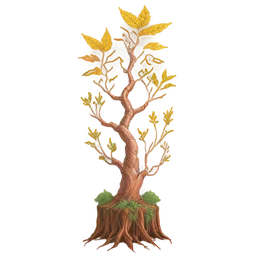 Wisdom Root